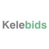PS4 just went for $1.51 on Kelebids.com - last post by OlliefromKELEBIDS