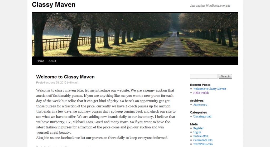 ClassyMaven WordPress